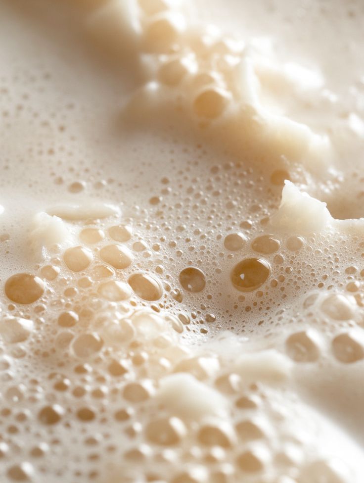 Rice Extract and Rice Milk