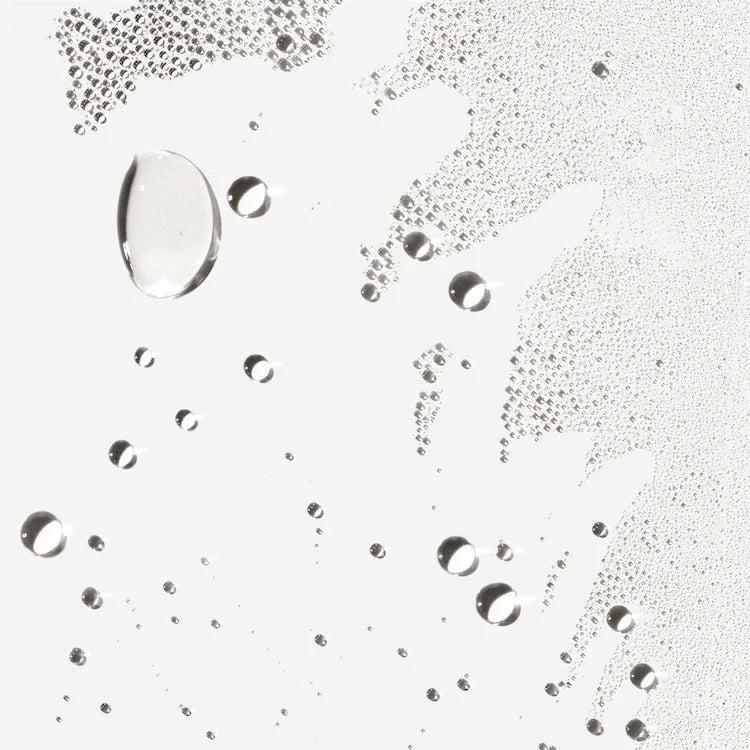 93751-media_1.webp